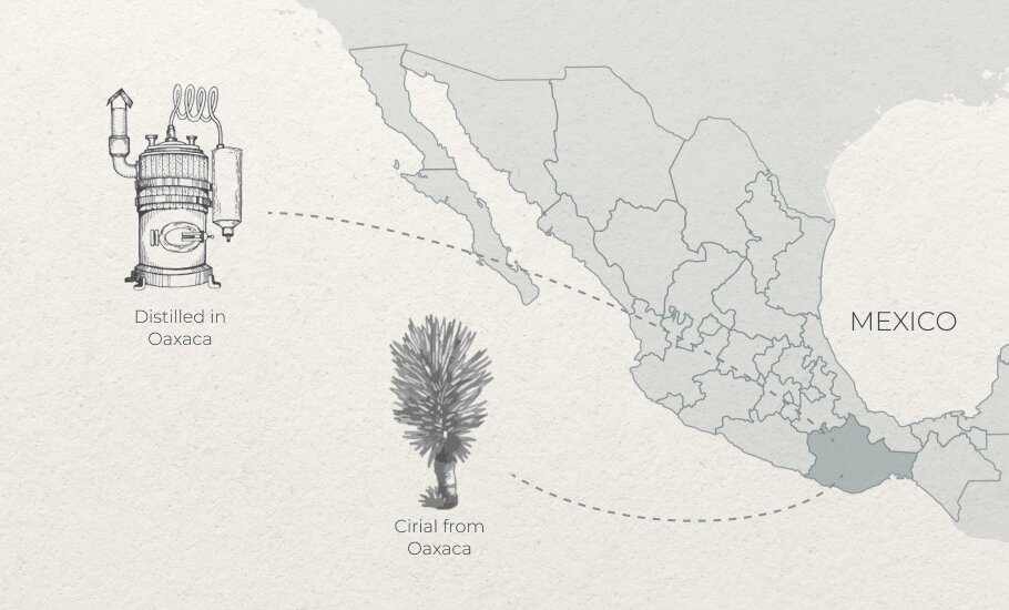 Cirial from Oaxaca Distilled in Oaxaca